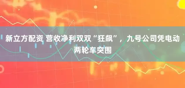 新立方配资 营收净利双双“狂飙”，九号公司凭电动两轮车突围